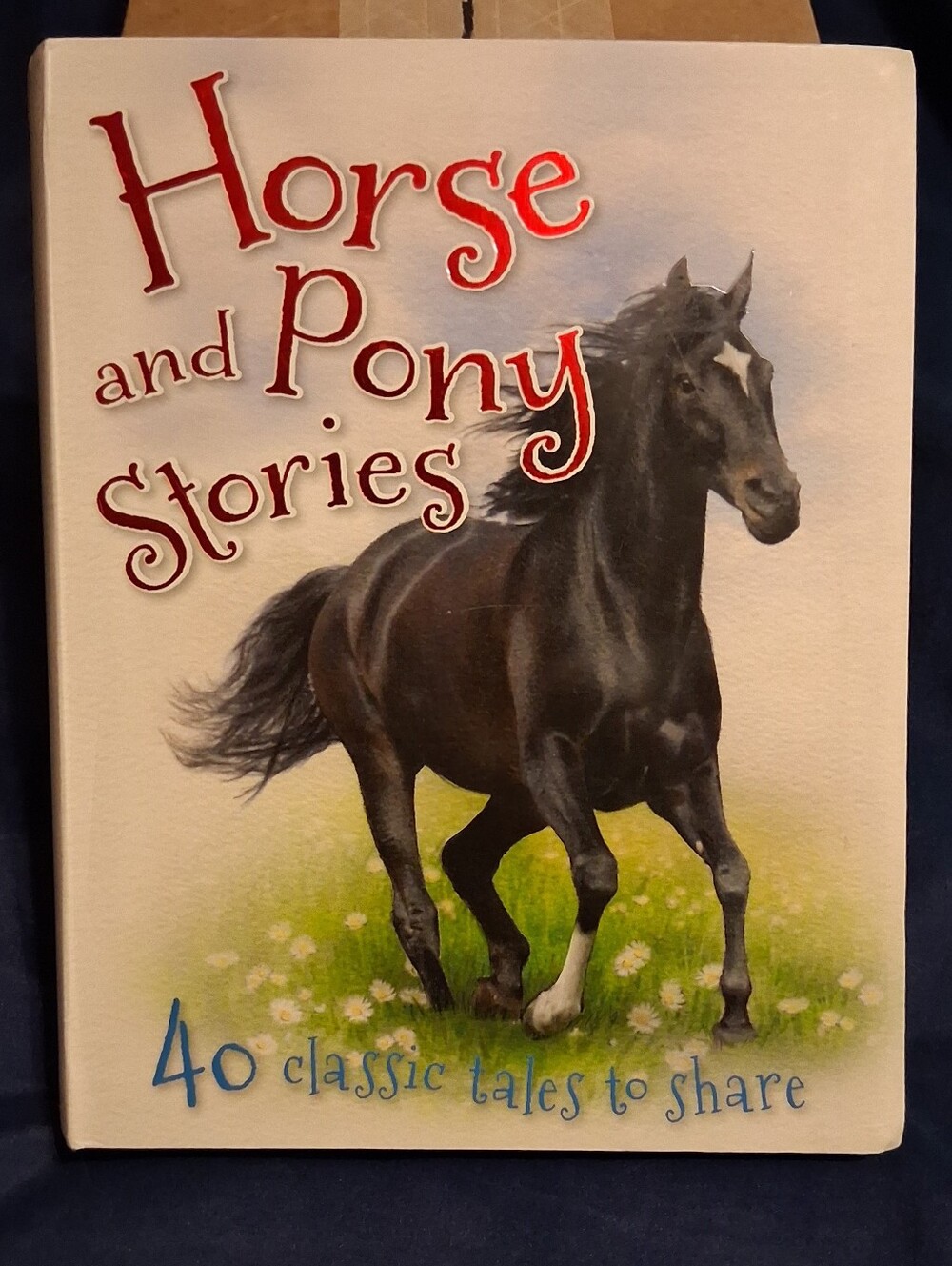 Horse and Pony Stories (Book)